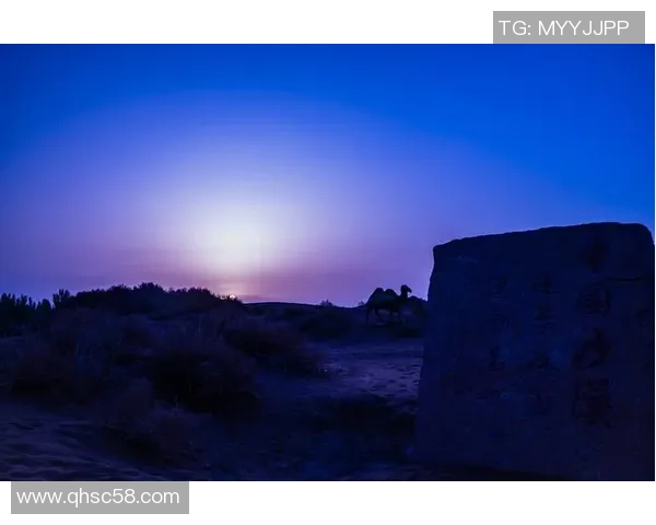 孤独的足球明星在晨曦中独自训练展现坚定信念与不屈精神的瞬间